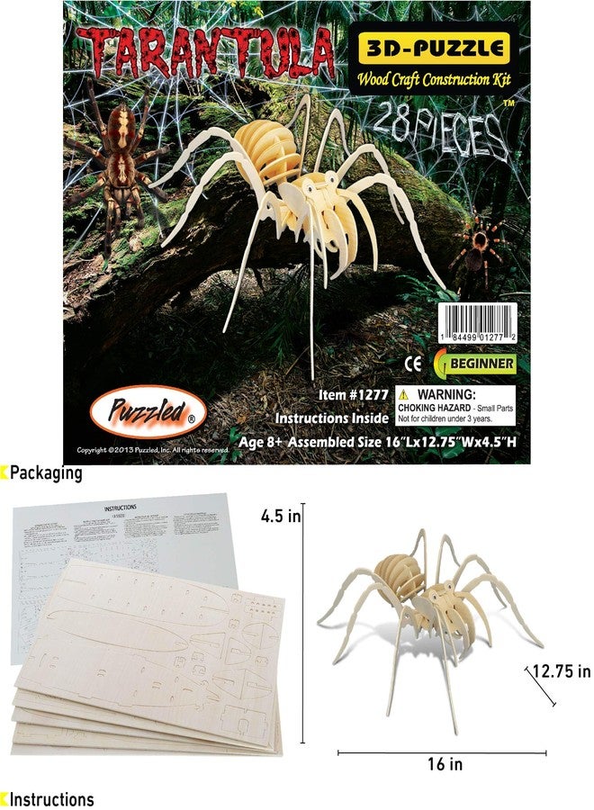 Puzzled 3D Puzzle Tarantula Spider Wood Craft Construction Model Kit, Fun & Educational DIY Wooden Toy Assemble Model Unfinished Crafting Hobby Puzzle to Build & Paint for Decoration 28 Pieces Pack - Image 2